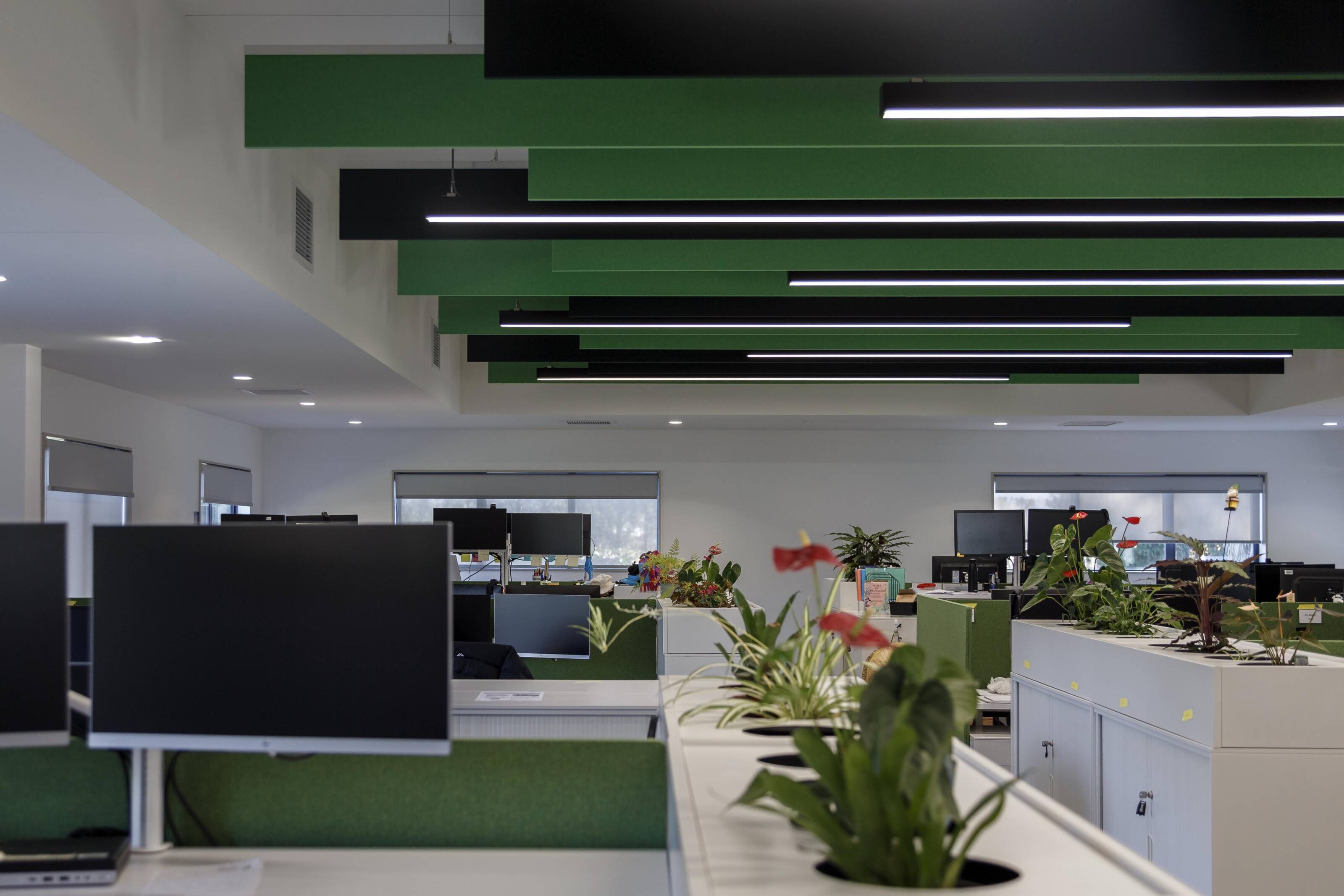 Plant & Food Motueka, office and workspace, JTB Architects